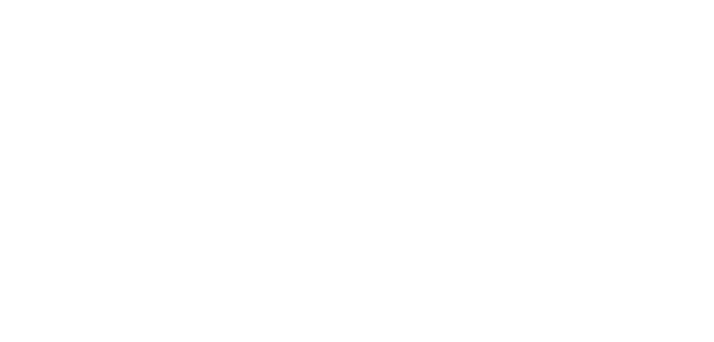 Amsef S.r.l.